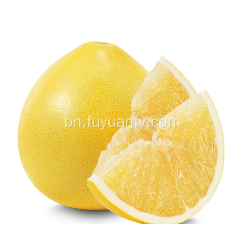 তাজা মিষ্টি pomelo বিক্রয়